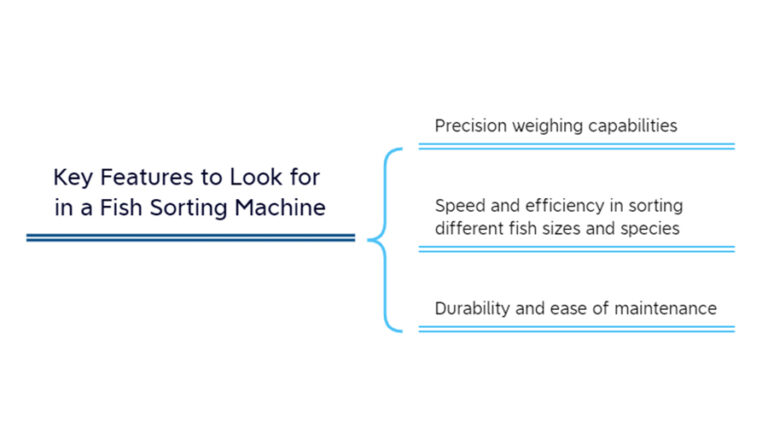 key features to look for in a fish sorting machine