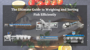 the ultimate guide to weighing and sorting fish efficiently