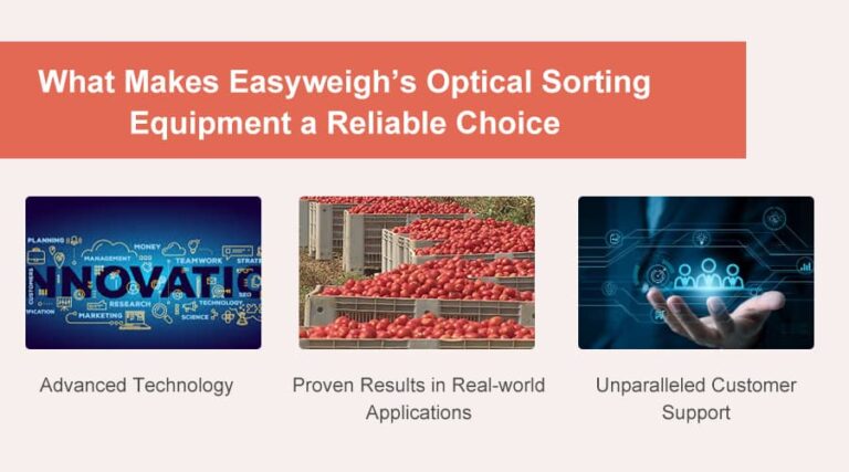 what makes easyweigh optical sorting equipment a reliable choice