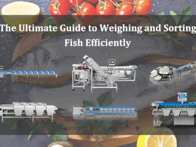 the ultimate guide to weighing and sorting fish efficiently